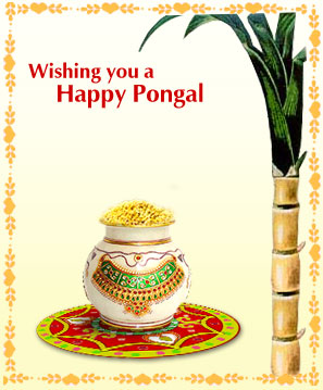Pongal Festival Recipes-Tamil Pongal Recipes - Padhuskitchen