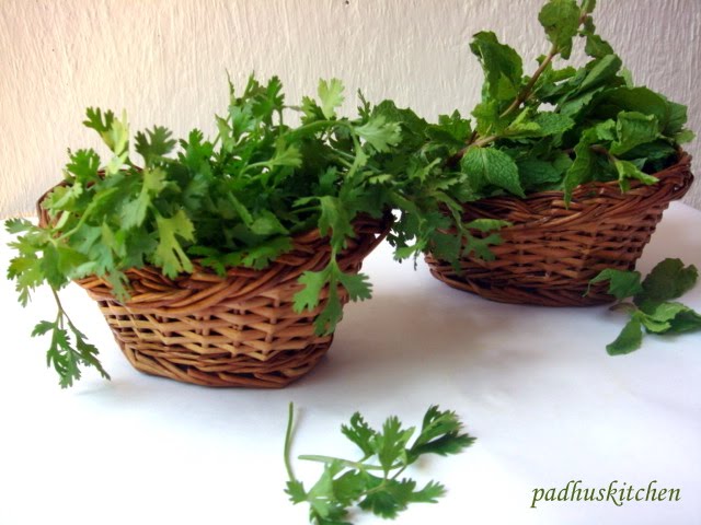 coriander leaves and mint leaves