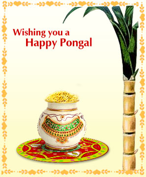 pongal greetings