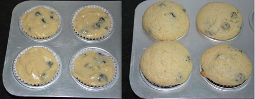 how to make Blueberry Muffins 