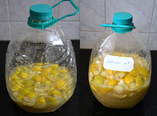 homemade citrur cleaner