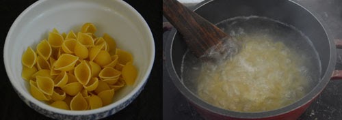 Conchiglie Pasta-cooking shell pasta